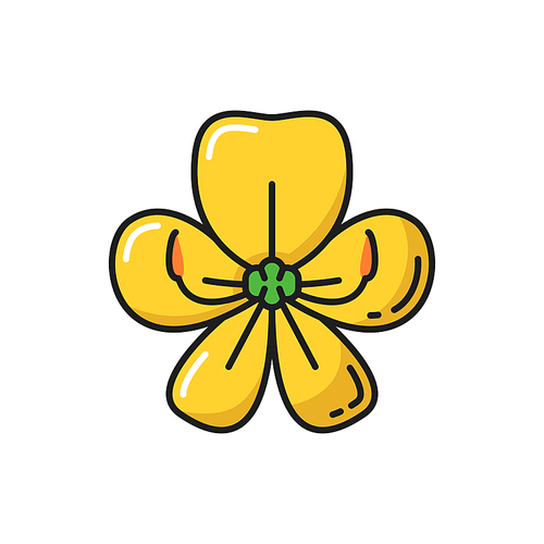 Golden shower flower Cassia Fistula isolated yellow color line icon. Vector Thai blossom, gold- shower flower, botanical decoration, plant. Asian ratchaphruek natural spring or summer floral element
