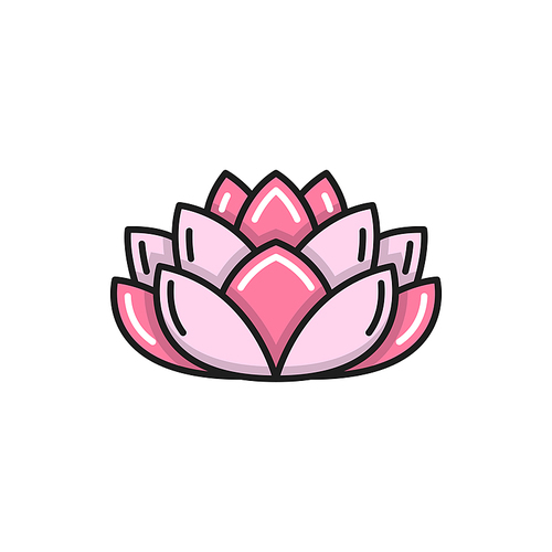 Pink lotus flower isolated water lily color line icon. Vector Thailand or Thai plant. Spa emblem, waterlily. Blooming exotic Buddhism symbol of harmony and wellbeing, lily blossom, asian bloom