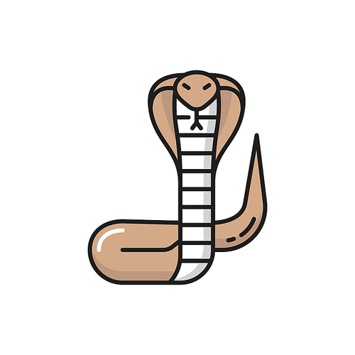 Thailand king cobra viper snake isolated color line icon. Vector poisonous crawling invertebrate carling animal, color Viper snake or rattlesnake from Thai. Naga mamba cobra, serpent with tongue