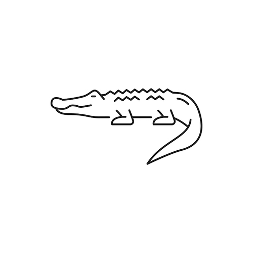 Wild crocodile, american alligator isolated thin line icon. Vector mississippiensis predator animal, symbol of Thailand, dangerous creature. Thai predator, scary carnivore crocodylus reptile