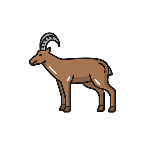 Goat domestic animal isolated livestock mammal flat line icon. Vector farm horned brown cattle side view. Mountain goat mascot, agriculture farming source of meat and milk, Switzerland livestock pet