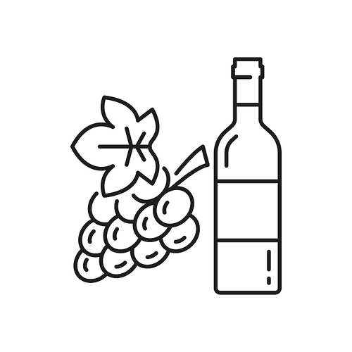 Bottle of red or white wine isolated Swiss or Switzerland elite drink thin line icon. Vector alcohol in glass bottle, burgundy or ruge beverage, grapes bunch. Winery product, merlot sweet semi sweet