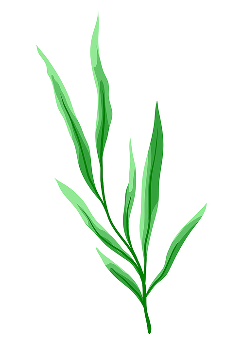 Illustration of branch and green leaves. Spring or summer stylized foliage. Seasonal plant image.