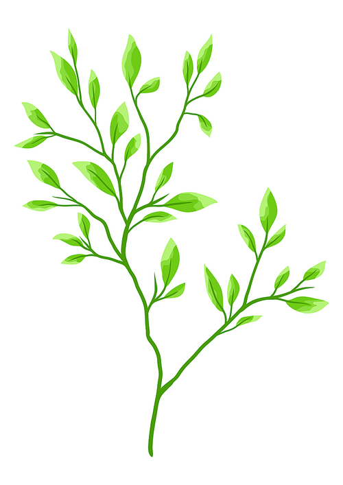 Illustration of branch and green leaves. Spring or summer stylized foliage. Seasonal plant image.