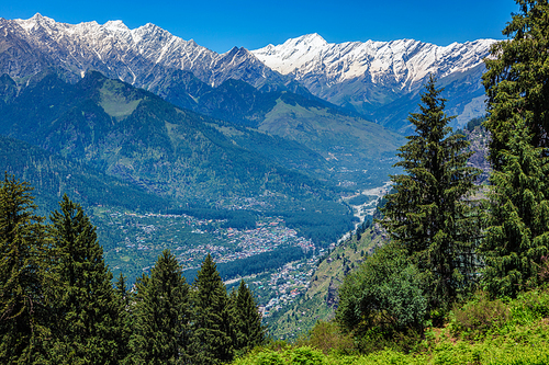 Spring meadow in Kullu valley in Himalaya mountains. Himachal Pradesh, India