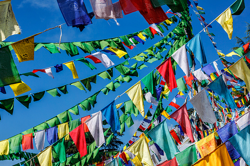 Buddhist prayer flags lungta with Om Mani Padme Hum Buddhist mantra prayer meaning Praise to the Jewel in the Lotus on kora around Tsuglagkhang complex. McLeod Ganj, Himachal Pradesh, India