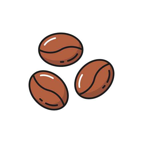 Coffee bean isolated americano drink ingredient flat line icon. Vector coffee berry three brown seeds, aromatic americano arabica roasted beans. Raw fruit of coffee plant, morning drink ingredient