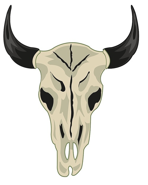 Vector illustration of the skull pets cow type frontal