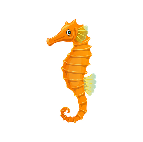 Cartoon sea horse fish, underwater animal. Isolated aquatic vector seahorse creature with orange color body and long curve tail. Tropical ocean hippocampus marine inhabitant