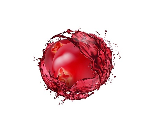 Cranberry fruit with juice splash. Realistic 3d vector mooseberry drink, cocktail or compote summer beverage with splashing liquid swirl. Realistic fresh vitamin refreshment whirl with droplets