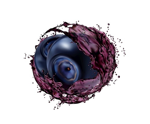 Blueberry fruit with juice splash. 3d vector liquid swirl, isolated summer bilberry beverage realistic splash. Fresh vitamin drink whirl with droplets and flying ripe juicy blue garden berry