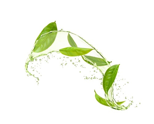 Herbal drink wave splash, green tea leaves and water flow. Vector 3d elements of organic beverage, template for advertising with realistic herbs, aqua jet and splatters. Fresh plant, natural aroma tea