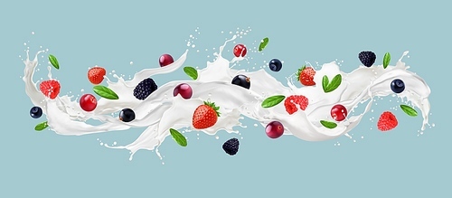 Milk wave splash with berries, vector dairy food and drink. Realistic 3d flowing swirl of milk, yogurt or cream with drops and fresh fruits. Creamy wave with strawberries, cranberries and raspberries