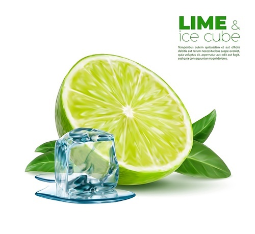 Realistic lime with melting ice cube and green mint leaves, vector mojito cocktail drink, iced tea or lemonade beverage ingredients. 3d slice of lime citrus fruit, fresh mint and frozen water crystal