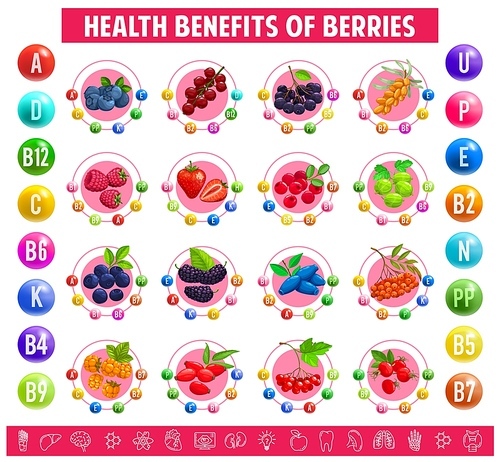 Chart table content of vitamins and minerals in berries. Vector graph health benefits of blueberry, black chokeberry, sea buckthorn and raspberry. Strawberry, cranberry, gooseberry and honeysuckle