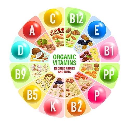 Dried fruits and nuts, vitamins and multivitamins chart. Vector table with coconut, hazelnut, walnut, almond and chestnut seeds, pistachio, figs, raisin, dried apricots and pineapple or pear benefits