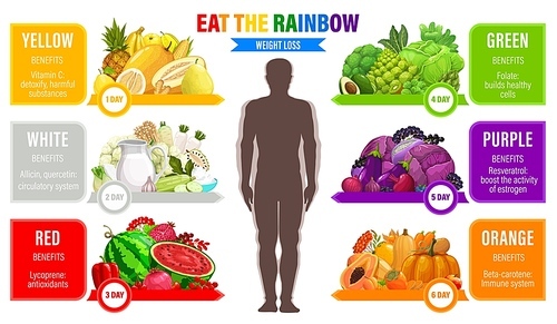 Rainbow color diet, weight loss, organic nutrition schedule. Vector six days eating plan with human figure and healthy food fruits, vegetables and meals separated on colors for immune, detoxification