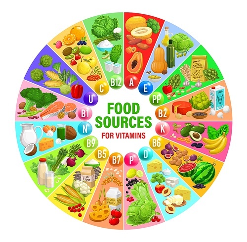 Food sources of vitamins and minerals. Healthy food chart or vector wheel scheme with dried fruits, fresh vegetables and berries, fish meat seafood, cereals and nuts, dairy and soy beans food products