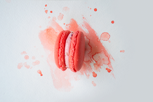 fpink rench cookie macaroon on watercolor background, top view