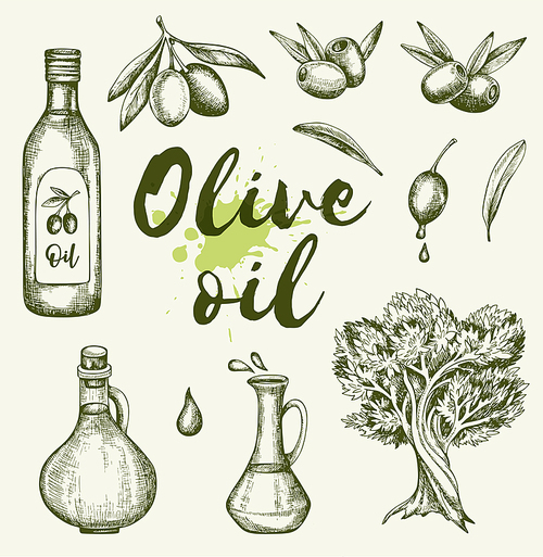 Vintage hand drawn olives and olive oil. Vector illustration