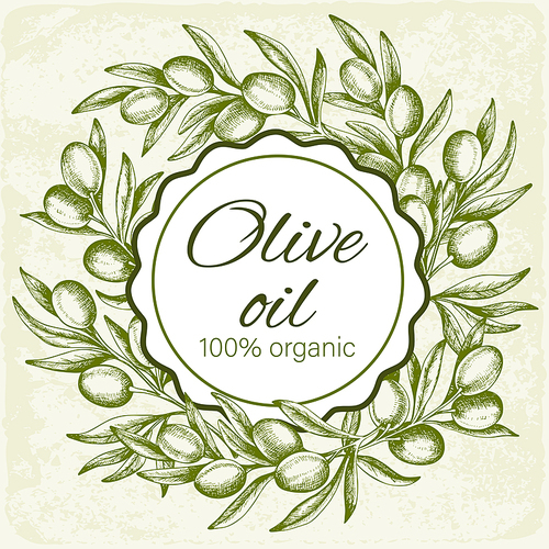 Vintage round background with hand drawn green olives. Vector illustration