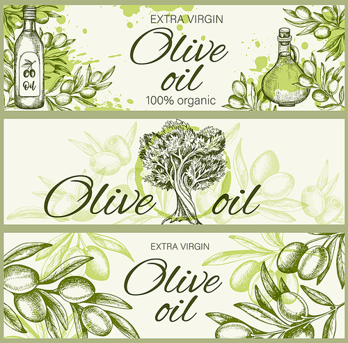 Vintage hand drawn horizontal backgrounds with olives and olive oil. Vector illustration