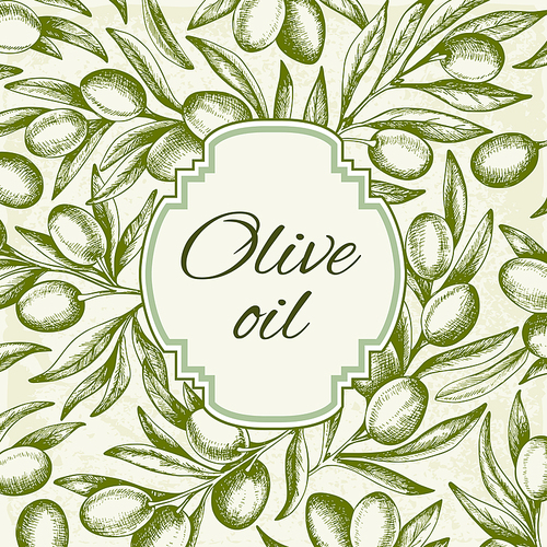 Vintage background with hand drawn green olive branch. Vector illustration