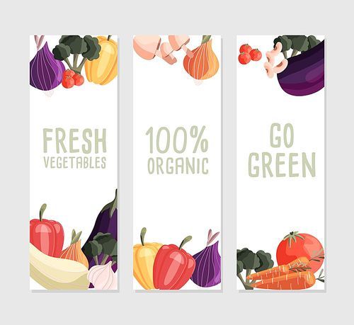 Three vertical banner templates with fresh organic vegetables and place for text. Colorful hand drawn natural food on white background. Vector illustration.