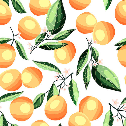Peaches and apricots on tree branches, seamless pattern. Tropical summer fruit, on white background. Abstract colorful hand drawn illustration.