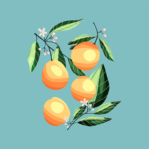 Peaches and apricots on tree branches. Tropical summer fruit on blue background, abstract colorful hand drawn illustration.