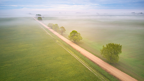 Aerial view of rural dirt road and trees covered by fog. Early misty morning panorama. Spring summer fields. Rainy overcast moody weather. Belarus, Minsk region