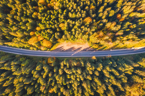 Aerial view of mountain road in beautiful forest at sunset in autumn. Top view from drone of winding road in woods. Colorful landscape with empty roadway, trees with orange and green leaves in fall