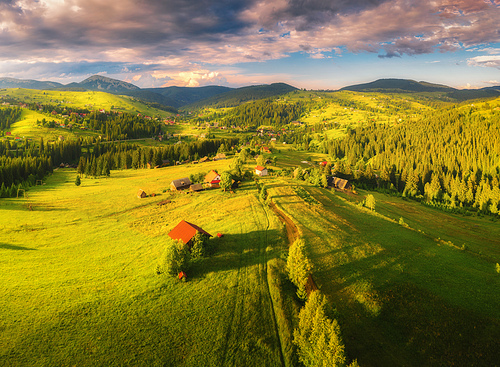 Aerial view of beautiful small village in Carpathian mountains at sunset in summer. Colorful landscape with green meadows, houses with gardens, pine trees, cloudy sky. Top view of mountain countryside