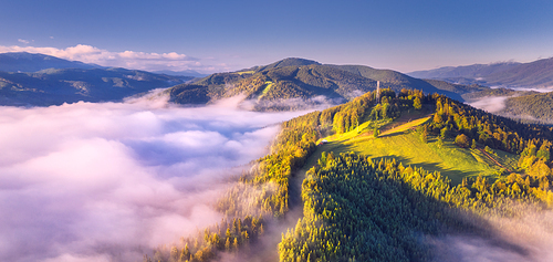 Mountains in pink clouds at sunrise in summer. Aerial view of mountain peak with green trees in fog. Beautiful landscape with high rocks, forest, sky. Top view from drone of hills in low clouds