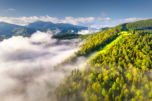 Mountains in clouds at sunrise in summer. Aerial view of mountain peak with green trees in fog. Beautiful landscape with high rocks, forest, sky. Top view from drone of mountain valley in low clouds