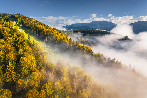 Mountains in clouds at sunrise in autumn. Aerial view of mountain peak with orange trees in fog. Beautiful landscape with high rocks, forest, sky. Top view of mountain valley in low clouds in fall