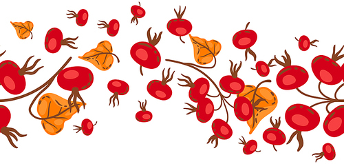 Seamless pattern of branches with rose hips. Image of seasonal autumn plant.