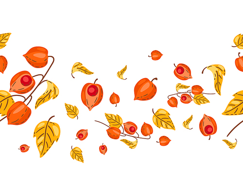 Seamless pattern of fesalis with berries. Image of seasonal autumn plant.