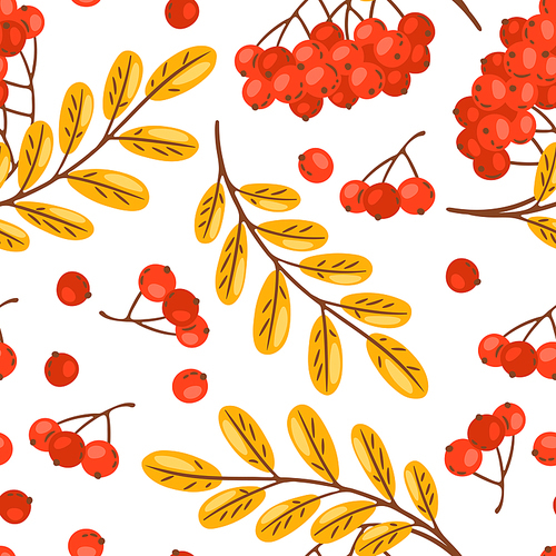 Seamless pattern of rowan with berries. Image of seasonal autumn plant.