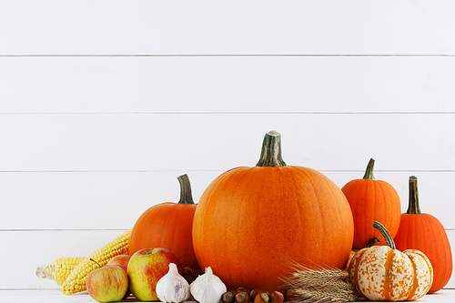 Harvested autumn food pumpkins garlic onion apples nuts on white wooden background