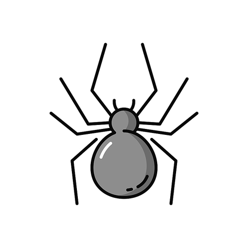 Spider Halloween holiday symbol isolated arachnid flat line icon. Vector poisonous black widow spinner. Caterpillar bug outline, dangerous creature, insect making spiderweb, party decor element