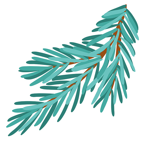 Winter illustration of fir branch. Seasonal symbol in hand drawn style.