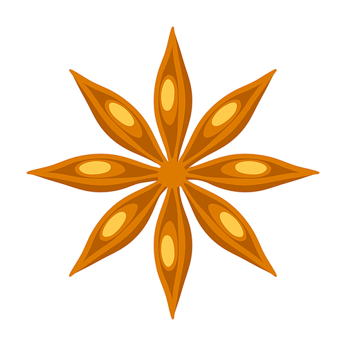 Stylized illustration of star anise. Image for design or decoration. Symbol in hand drawn style.