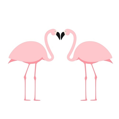 Cartoon Pink Flamingo on white background. Vector Illustration EPS10