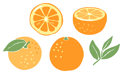 Set of ripe oranges. Decorative stylized fruits and leaves.