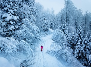 Aerial view of walking woman in red on mountain road in beautiful foggy forest in snow in winter day. Top drone view of girl in snowy woods in mist. Pine trees in hoar. Snowfall in wintry woodland