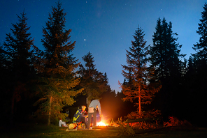 Bonfire in night forest and people near fire under night dark sky with stars