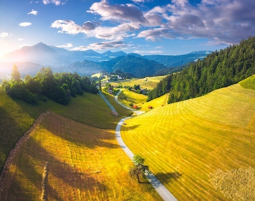 Aerial view of country road in green meadows at sunset in summer. Top drone view of rural road, alpine mountains. Colorful landscape with curved highway, hills, fields, green grass, blue sky. Slovenia