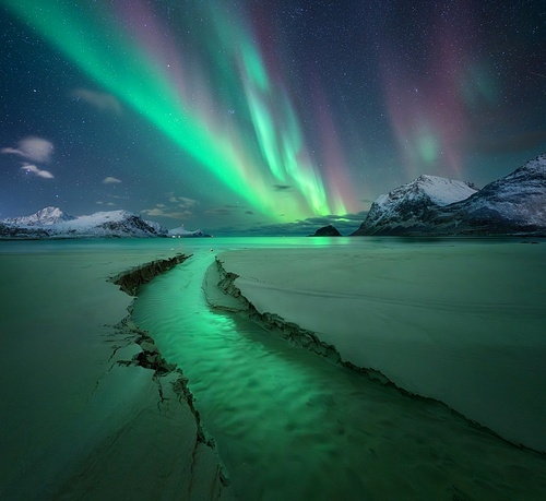 Northern Lights, snowy mountains, sandy beach, creek at starry winter night. Lofoten islands, Norway. Amazing Aurora borealis. Sky with polar lights. Landscape with aurora, sea, stream, rocks in snow