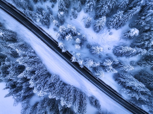 Aerial view of mountain road in fairy forest in snow in winter in blue hour. Top view from drone of highway, snowy pine trees at dusk. Beautiful rural road in woods in twilight. Travel in Slovenia